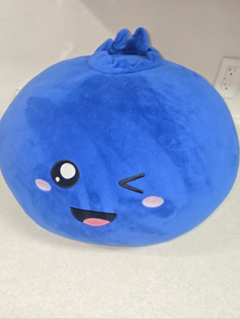 Rare! Blueberry Plush Pillow